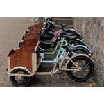 Chanty Cargo Kid - Sandfarben Das ultimative Kinder-Lastenrad für Spaß und Transport inklusive Helm, Flaschenhalter, 2-farbigen Griffen und Klingel