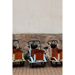 Chanty Cargo Kid - Sandfarben Das ultimative Kinder-Lastenrad für Spaß und Transport inklusive Helm, Flaschenhalter, 2-farbigen Griffen und Klingel