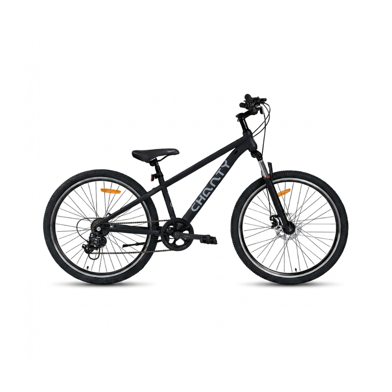 Chanty MTB 26" schwarz
