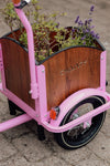 Chanty Cargo Kid – Pink inkl. hjelm, flaskeholder, håndtag i 2 farver og ringklokke - BørnecyklerneChantyBørnecyklernePink: BLC16 - LYRChanty Cargo Kid – Pink inkl. hjelm, flaskeholder, håndtag i 2 farver og ringklokke