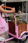 Chanty Cargo Kid – Pink inkl. hjelm, flaskeholder, håndtag i 2 farver og ringklokke - BørnecyklerneChantyBørnecyklernePink: BLC16 - LYRChanty Cargo Kid – Pink inkl. hjelm, flaskeholder, håndtag i 2 farver og ringklokke